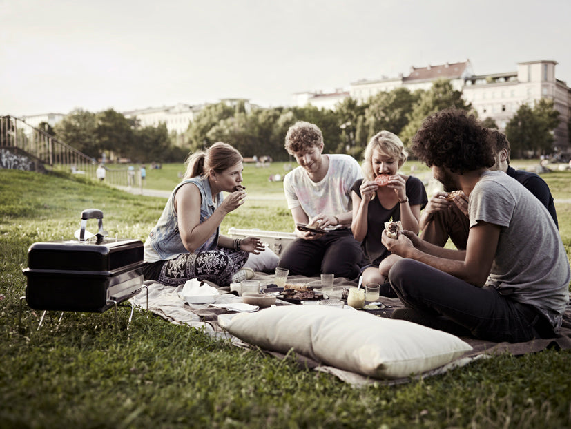 Weber Go-Anywhere Holzkohlegrill